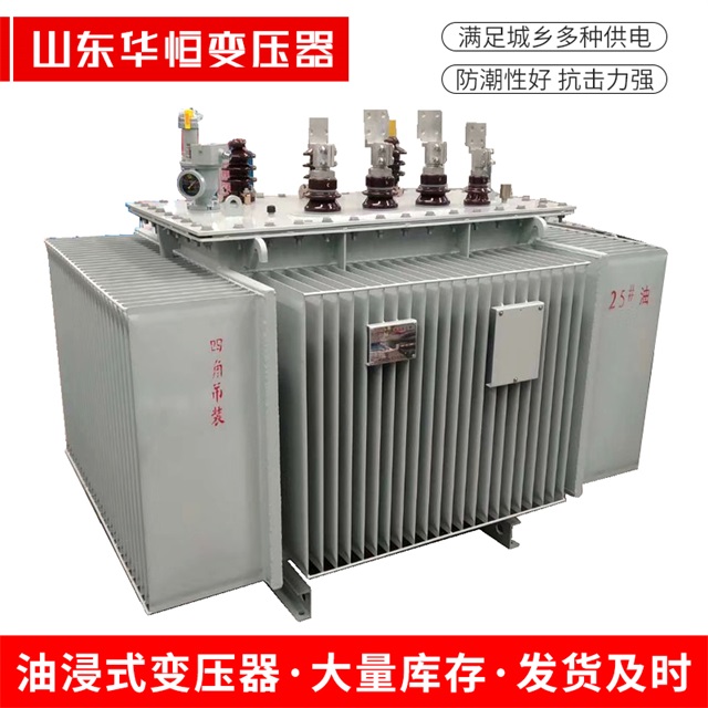 S13-10000/35高邑高邑高邑电力变压器厂家